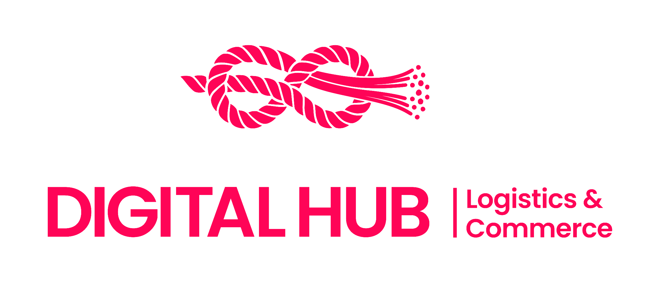 Digital Hub Logo
